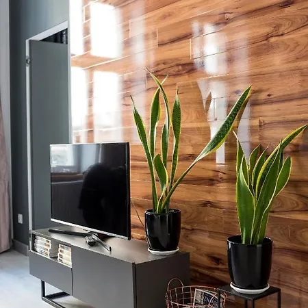 Apartman Centrum Superior *