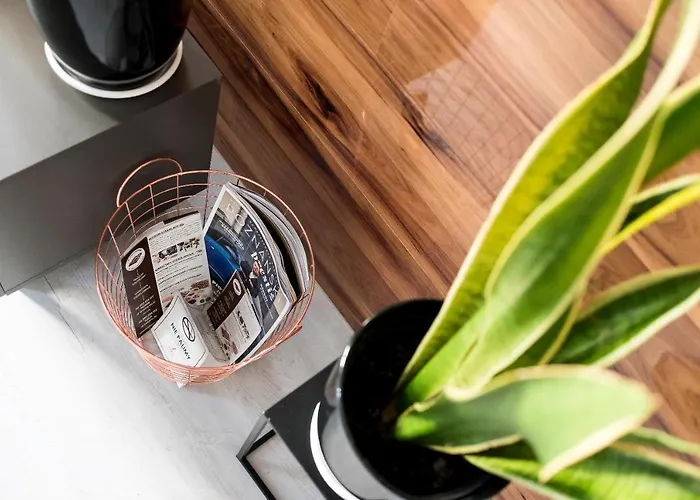 Apartment Centrum Superior *