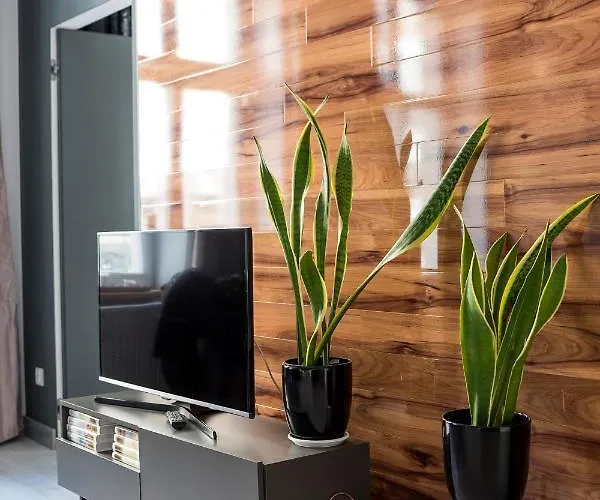 Apartment Centrum Superior *